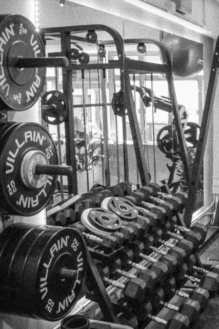 Professional gym