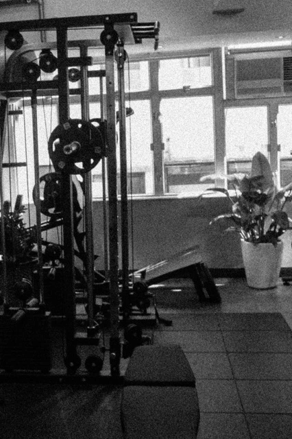 Holistic strength conditioning